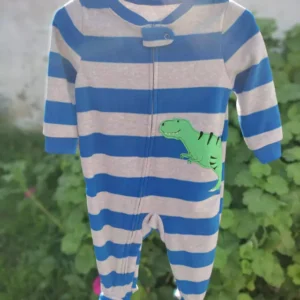 Enterito Micropolar Dino -Talle 12 Meses